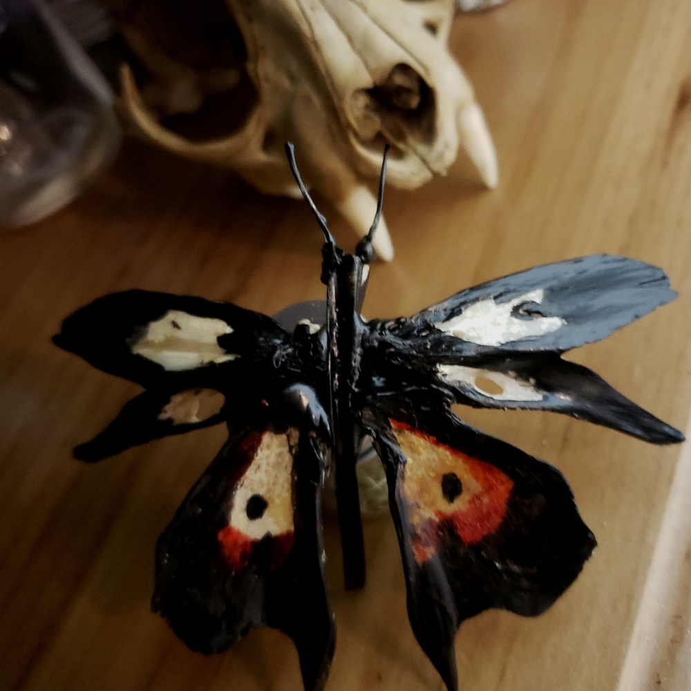 Bone butterfly